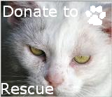 donate to rescue