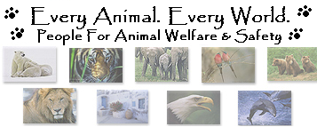 Every Animal , Every World. PAWS