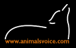 Click here to visit the AnimalsVoice.com , A site voted #1 by PAWS activists!