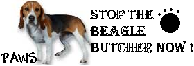 URGENT : Stop the beagle butcher NOW ! Click here